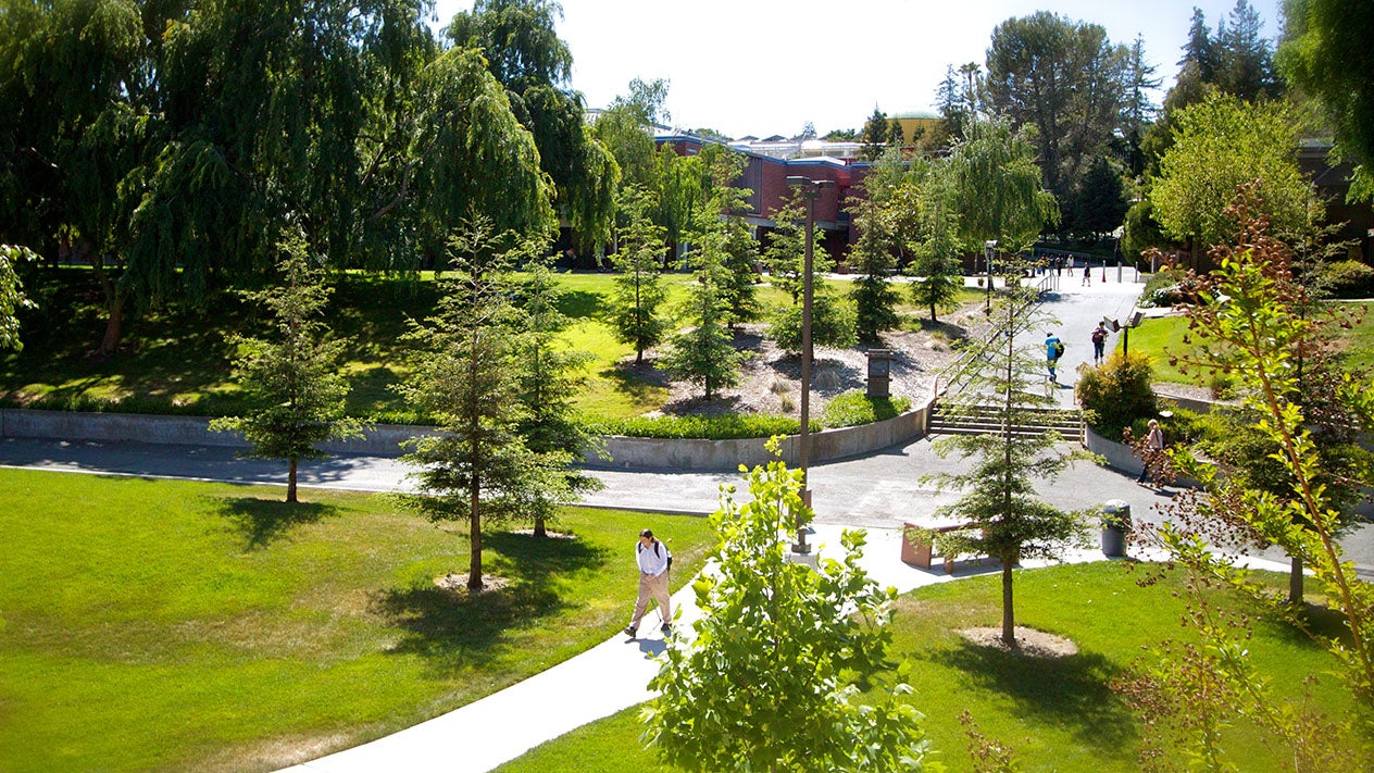 Pleasant Hill Campus - Grass and Trees