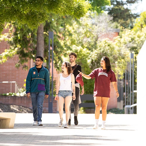 DVC students walk together around campus.