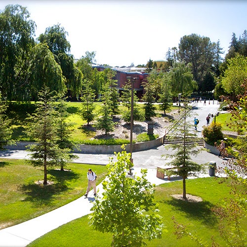 Pleasant Hill Campus - Grass and Trees