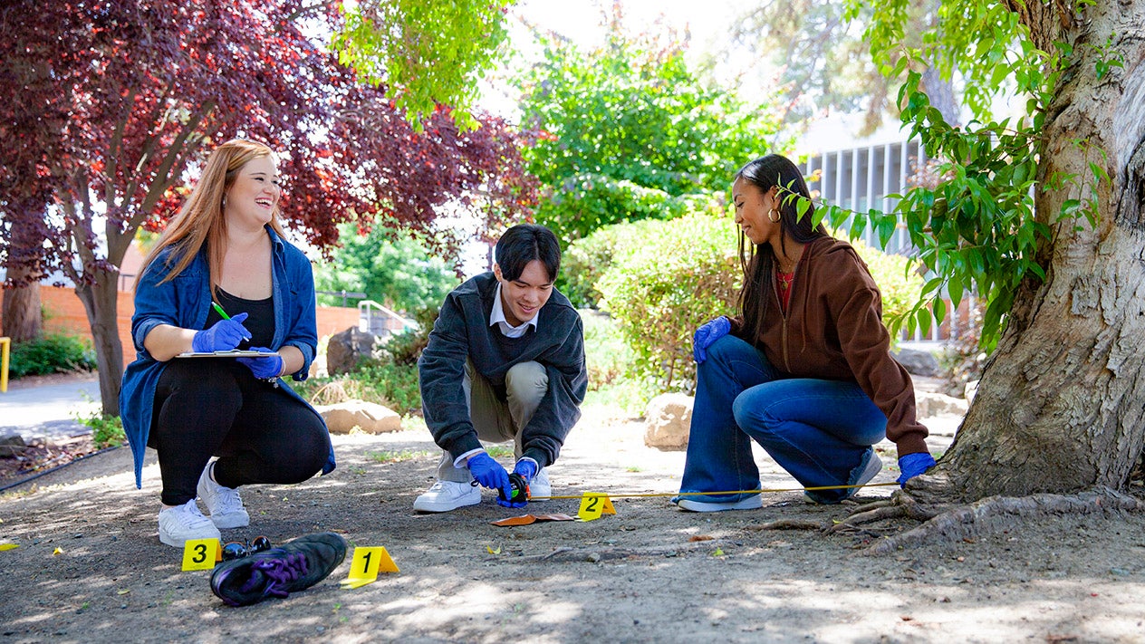 Students studying a mock crime scene