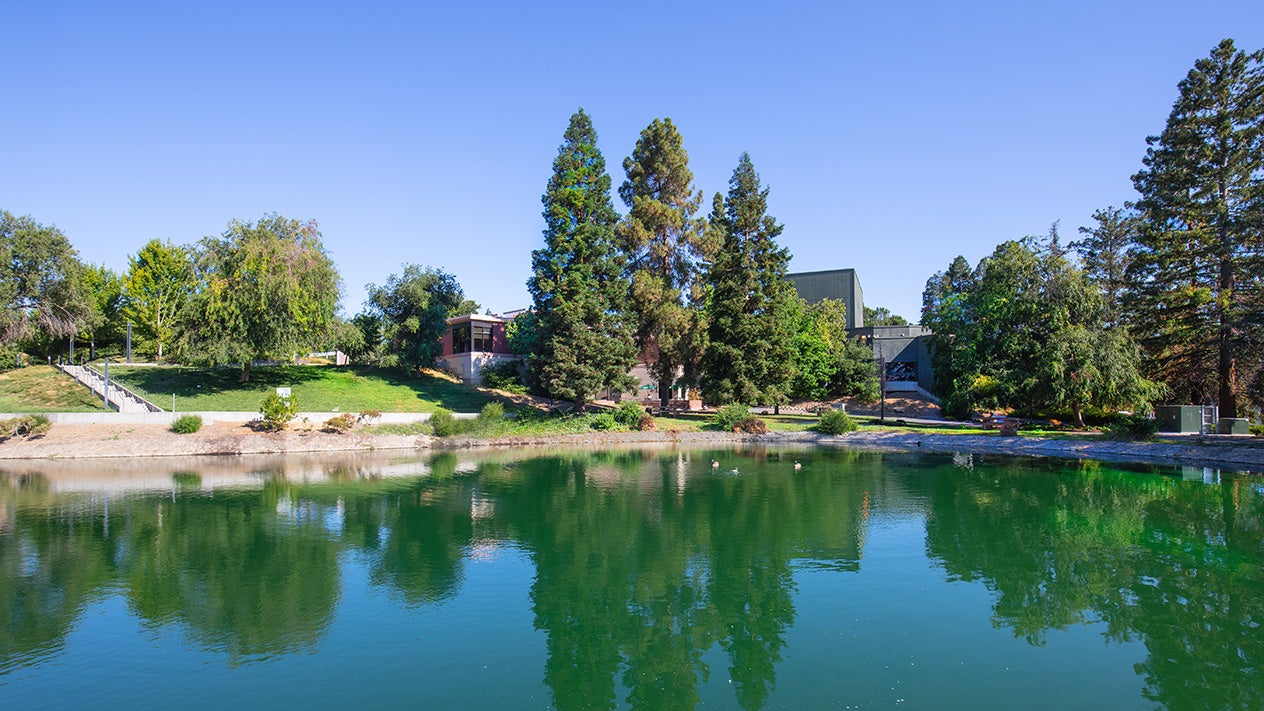 Pleasant Hill Campus - Lake and Trees