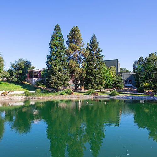 The pond at DVC