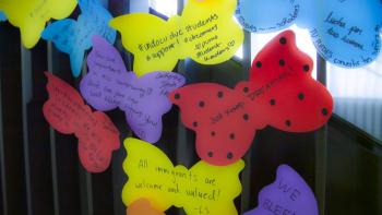 DREAMer butterfly notes